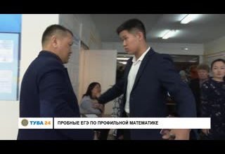 Пробные ЕГЭ по профильной математике