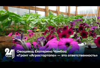 Овощевод Екатерина Чамбаа: «Грант «Агростартапа» — это ответственность»