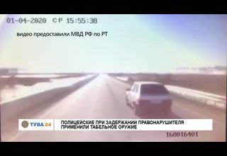 Полицейские при задержании правонарушителя применили табельное оружие