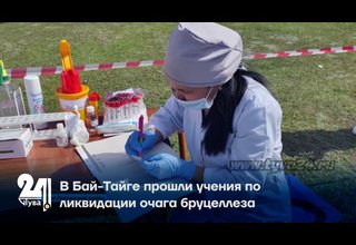 В Бай-Тайге прошли учения по ликвидации очага бруцеллеза