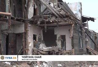 Остались на улице или без бумажки – ты букашка
