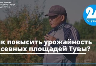 Как повысить урожайность посевных площадей Тувы?