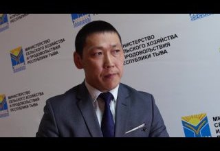Тожунун ивижилери