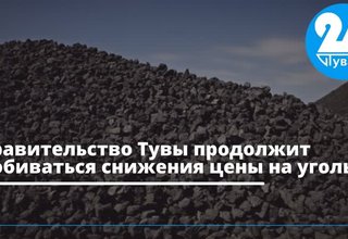 Правительство Тувы продолжит добиваться снижения цены на уголь