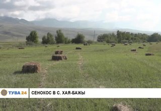 Сенокос в с. Хая-Бажы