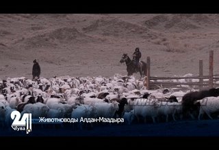 Животноводы Алдан-Маадыра