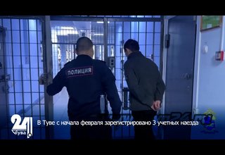 В Туве с начала февраля зарегистрировано 3 учетных наезда