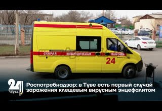 Роспотребнадзор: в Туве есть первый случай заражения клещевым вирусным энцефалитом