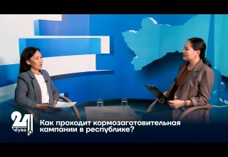 Как проходит кормозаготовительная кампании в республике?