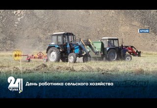 День работника сельского хозяйства