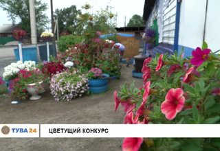 Цветущий конкурс