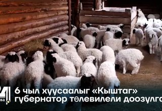 6 чыл хуусаалыг «Кыштаг» губернатор төлевилели доозулган