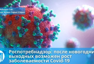 Роспотребнадзор: после новогодних выходных возможен рост заболеваемости Covid-19