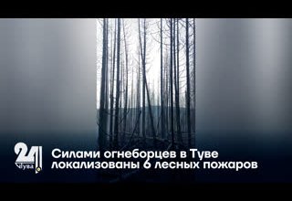 Силами огнеборцев в Туве локализованы 6 лесных пожаров