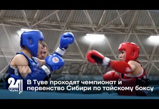 В Туве проходят чемпионат и первенство Сибири по тайскому боксу