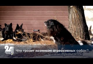 Что грозит хозяевам агрессивных собак?