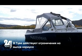 В Туве действуют ограничения на вылов хариуса