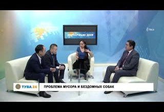 Рубрика "Интервью Дня" Тема: проблема мусора и бездомных собак