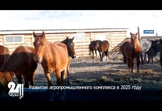 Развитие агропромышленного комплекса в 2025 году