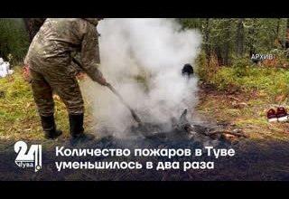 Количество пожаров в Туве уменьшилось в два раза