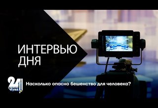 Насколько опасно бешенство для человека?
