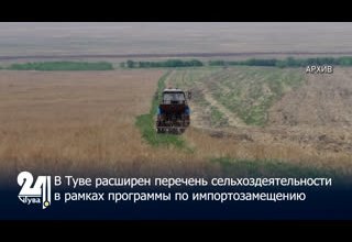 В Туве расширен перечень сельхоздеятельности в рамках программы по импортозамещению