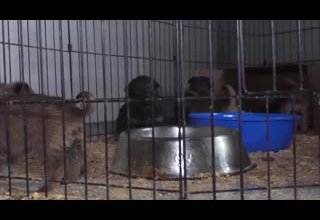 «Нам пишут»