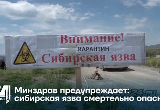 Минздрав предупреждает: сибирская язва смертельно опасна