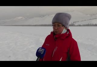 Животноводы по призванию