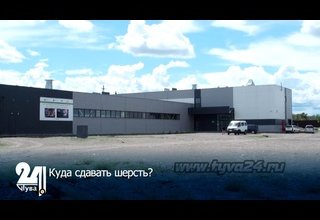 Куда сдавать шерсть?