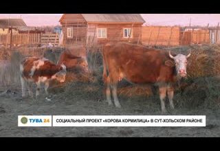 Социальный проект "Корова кормилица" в Сут-Хольском районе