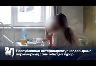 Республикада энтеровирустуг халдавырлыг аарыгларның саны көвүдеп турар