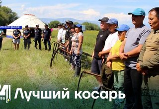 Лучший косарь
