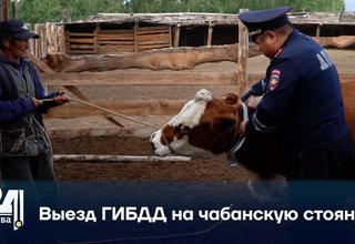 Выезд ГИБДД на чабанскую стоянку