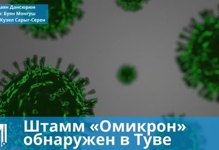 Штамм «Омикрон» обнаружен в Туве