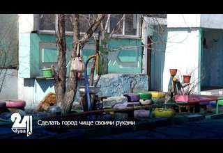 Сделать город чище своими руками