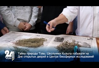 Тайны природы Тувы. Школьники Кызыла побывали на Дне открытых дверей в Центре биосферных исследований
