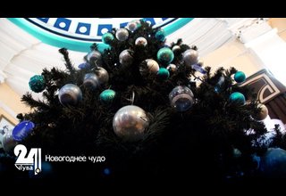 Новогоднее чудо