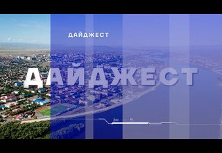 Дайджест