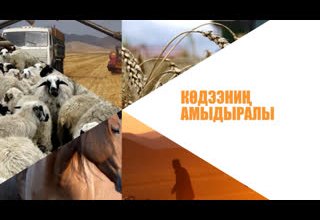 Көдээ черге МТЗ-82 «Беларус» трактор ажыктыг