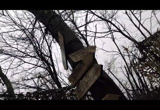 Они выбрали путь служения России и ежедневно доказывают свою доблесть. Они – настоящие герои нашего времени.