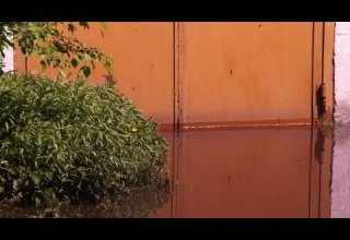 Плавающие огороды или помогите и нам тоже!