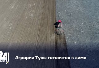 Аграрии Тувы готовятся к зиме