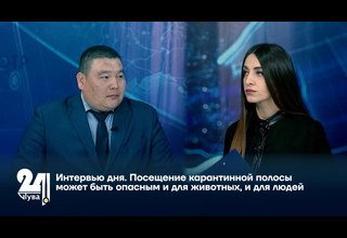 Посещение карантинной полосы может быть опасным и для животных, и для людей