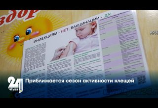 Приближается сезон активности клещей