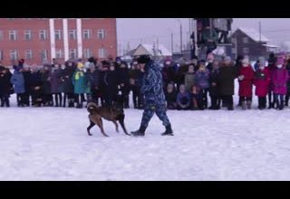 Кинологи УФСИН показали каа-хемским школьникам приемы дрессировки собак