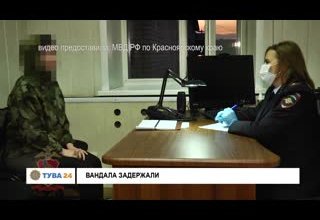 Вандала задержали