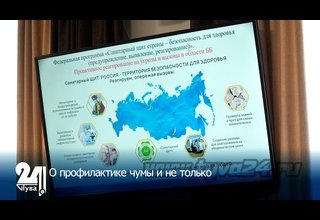 О профилактике чумы и не только