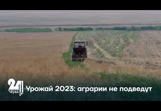 Урожай 2023: аграрии не подведут
