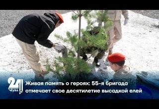 Живая память о героях: 55-я бригада отмечает свое десятилетие высадкой елей